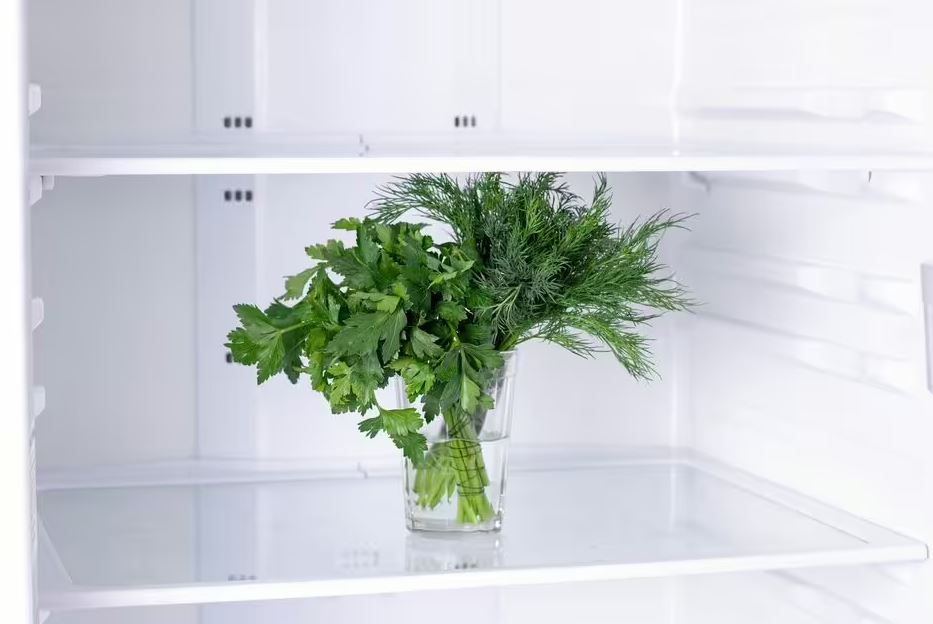 Đầu Bếp Nổi Tiếng Bậc Nhất Thế Giới Chỉ Cách Bảo Quản Rau Thơm Tươi Suốt Tuần - Chỉ Cần Duy Nhất 1 Thứ- Ảnh 3. Đầu Bếp Nổi Tiếng Bậc Nhất Thế Giới Chỉ Cách Bảo Quản Rau Thơm Tươi Suốt Tuần - Chỉ Cần Duy Nhất 1 Thứ- Ảnh 3.