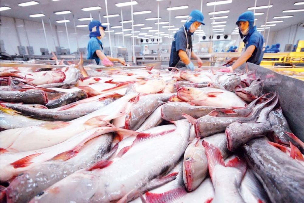 "Mảnh đất vàng" mở ra cơ hội bứt phá mạnh mẽ cho ngành kinh tế tỷ đô của Việt Nam- Ảnh 4.