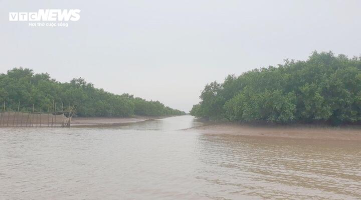 Hưng Y&ecirc;n vươn ra biển lớn để 'cất c&aacute;nh' trong kỷ nguy&ecirc;n vươn m&igrave;nh của d&acirc;n tộc- Ảnh 3.