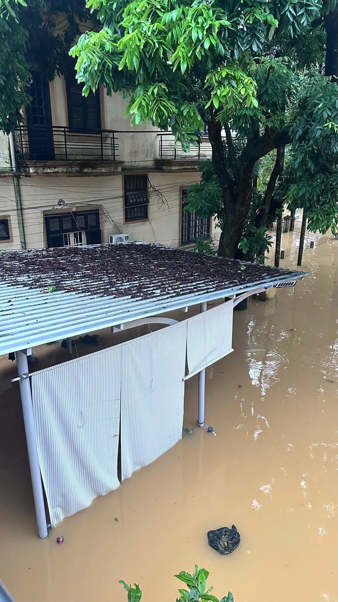 Biệt thự của ca sĩ Long Nhật ở Huế ngập gần hết cổng- Ảnh 2. Biệt thự của ca sĩ Long Nhật ở Huế ngập gần hết cổng- Ảnh 2.