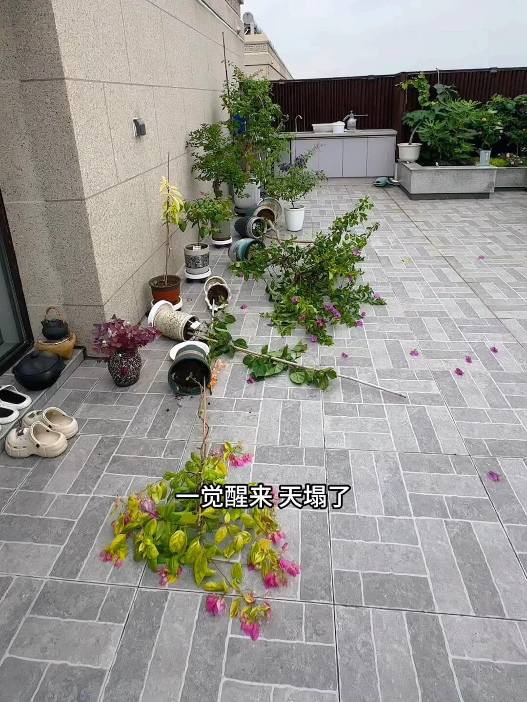 Penthouse – giấc mơ sang chảnh biến thành “địa ngục trên cao”: Tôi đã sống và hối hận!- Ảnh 2.