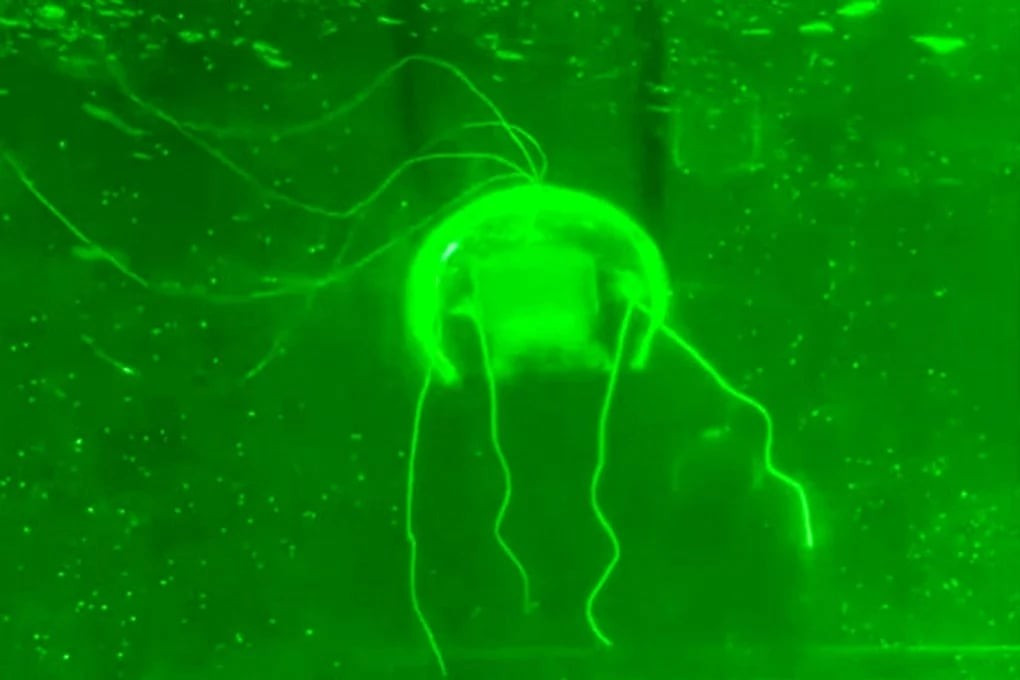 Trung Quốc phát triển robot 'tàng hình' để thăm dò vùng biển sâu- Ảnh 2.