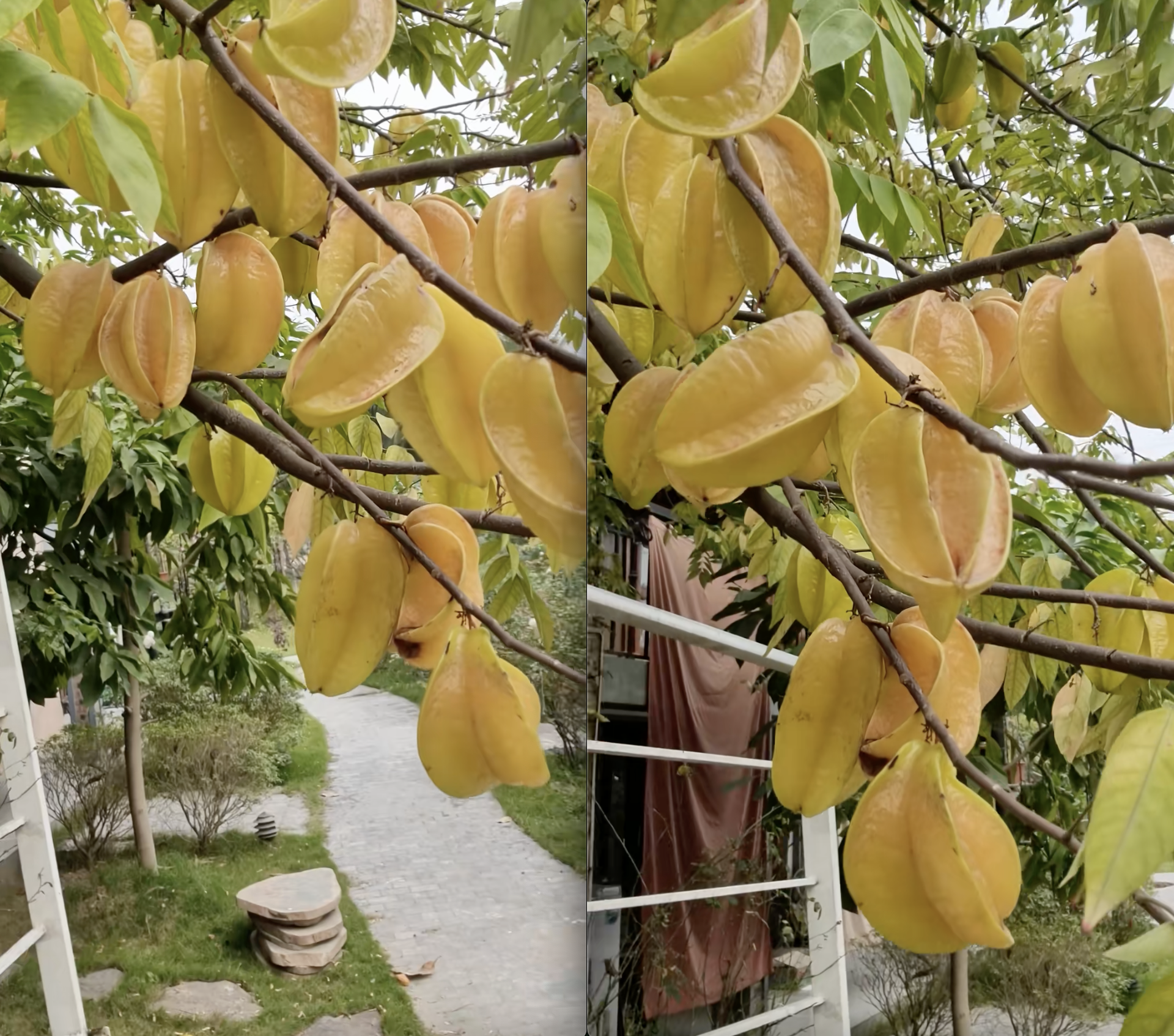 NSND Xuân Bắc "không có ý khoe khoang" nhưng dân mạng vẫn đòi "trả cục vàng" vì món này- Ảnh 2.