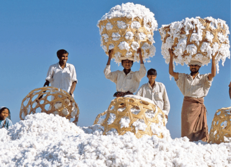 Mặt hàng của Việt Nam được Mỹ chi hơn 13 tỷ USD để mua: Nước ta là ông lớn thứ 2 thế giới, 66 quốc gia đua nhau mua - Ảnh 1.