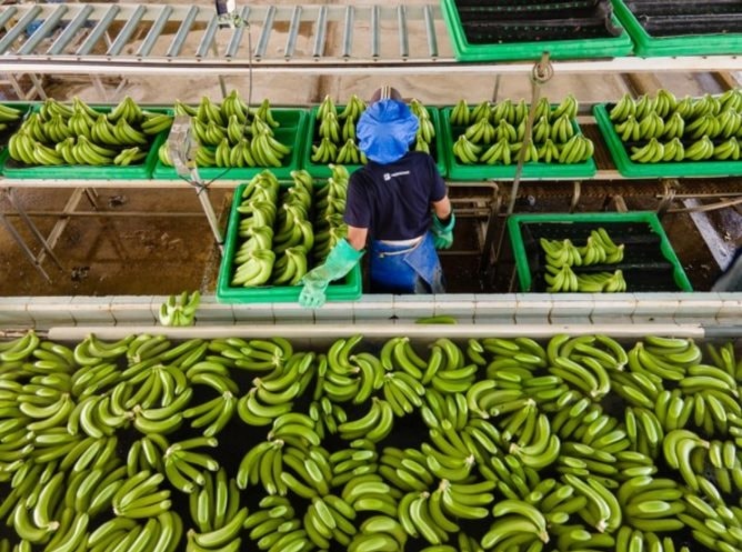 Mắc ung thư giai đoạn cuối di căn não, người phụ nữ đi khám, òa khóc khi biết “thủ phạm” đến từ chồng con- Ảnh 2.