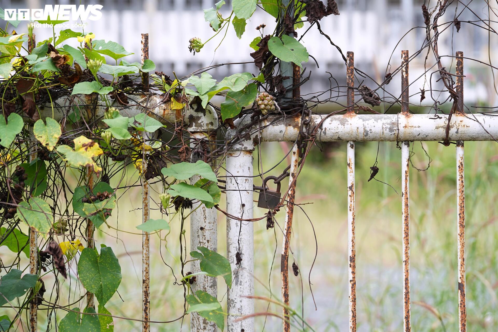 Toàn cảnh 2 bệnh viện bỏ hoang ở TP.HCM chờ 'hồi sinh'- Ảnh 7. Toàn cảnh 2 bệnh viện bỏ hoang ở TP.HCM chờ 'hồi sinh'- Ảnh 7.