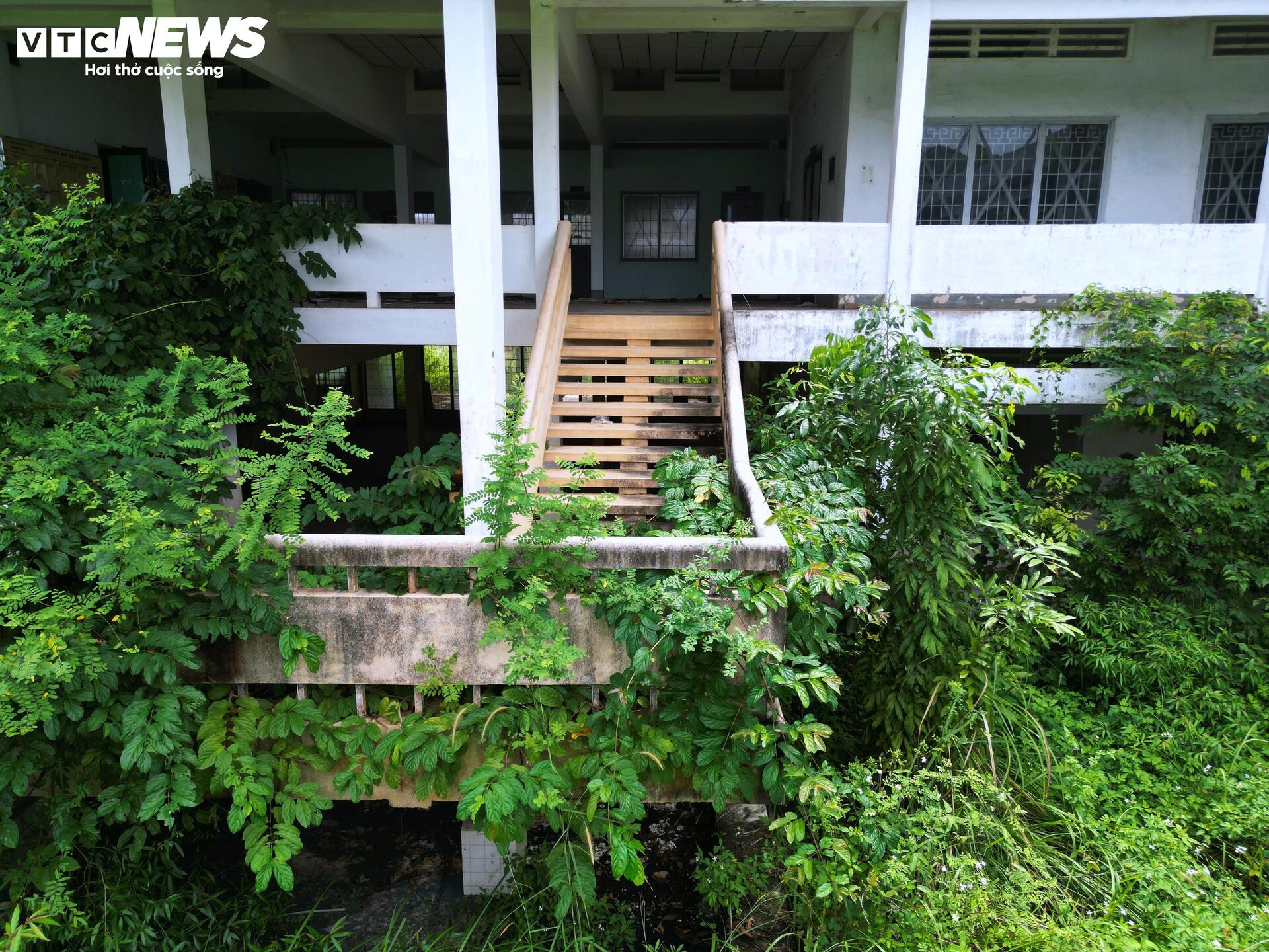 Toàn cảnh 2 bệnh viện bỏ hoang ở TP.HCM chờ 'hồi sinh'- Ảnh 5. Toàn cảnh 2 bệnh viện bỏ hoang ở TP.HCM chờ 'hồi sinh'- Ảnh 5.