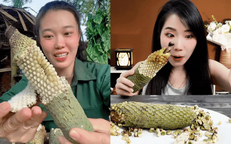 Loại quả nh&igrave;n như tổ ong, phải chờ 7 năm mới được ăn: Nh&agrave; gi&agrave;u trồng l&agrave;m cảnh, TikToker d&ugrave;ng để... mukbang- Ảnh 2.