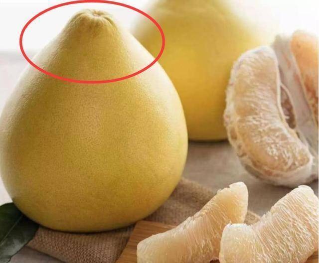 Mùa này có loại quả tốt hơn thịt: Chợ Việt bán sẵn, không mua phí của trời- Ảnh 4.