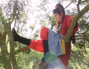 Tang thương bao trùm Cbiz: "Triển Chiêu đẹp trai bậc nhất màn ảnh" đột tử- Ảnh 7.