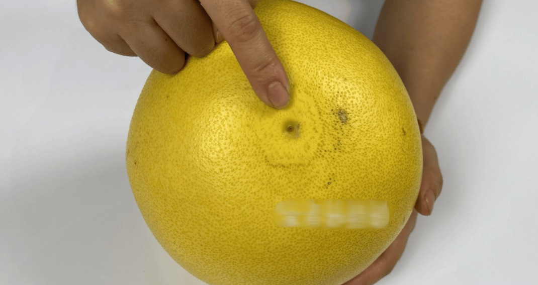 Mùa này có loại quả tốt hơn thịt: Chợ Việt bán sẵn, không mua phí của trời- Ảnh 3.