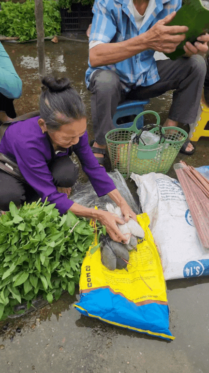 Nông sản độc lạ ở chợ phiên vùng cao: Không chỉ có măng khô, cua đá, đuông cọ... mà còn có cả "vàng đen" Tây Bắc- Ảnh 13. Nông sản độc lạ ở chợ phiên vùng cao: Không chỉ có măng khô, cua đá, đuông cọ... mà còn có cả "vàng đen" Tây Bắc- Ảnh 13.