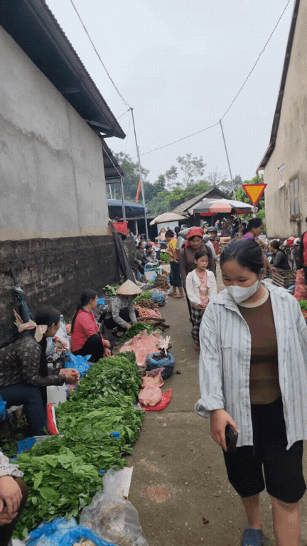 Nông sản độc lạ ở chợ phiên vùng cao: Không chỉ có măng khô, cua đá, đuông cọ... mà còn có cả "vàng đen" Tây Bắc- Ảnh 3. Nông sản độc lạ ở chợ phiên vùng cao: Không chỉ có măng khô, cua đá, đuông cọ... mà còn có cả "vàng đen" Tây Bắc- Ảnh 3.