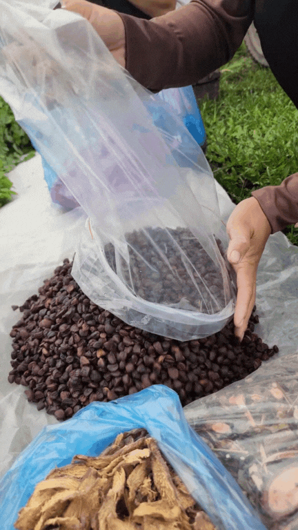 Nông sản độc lạ ở chợ phiên vùng cao: Không chỉ có măng khô, cua đá, đuông cọ... mà còn có cả "vàng đen" Tây Bắc- Ảnh 20. Nông sản độc lạ ở chợ phiên vùng cao: Không chỉ có măng khô, cua đá, đuông cọ... mà còn có cả "vàng đen" Tây Bắc- Ảnh 20.