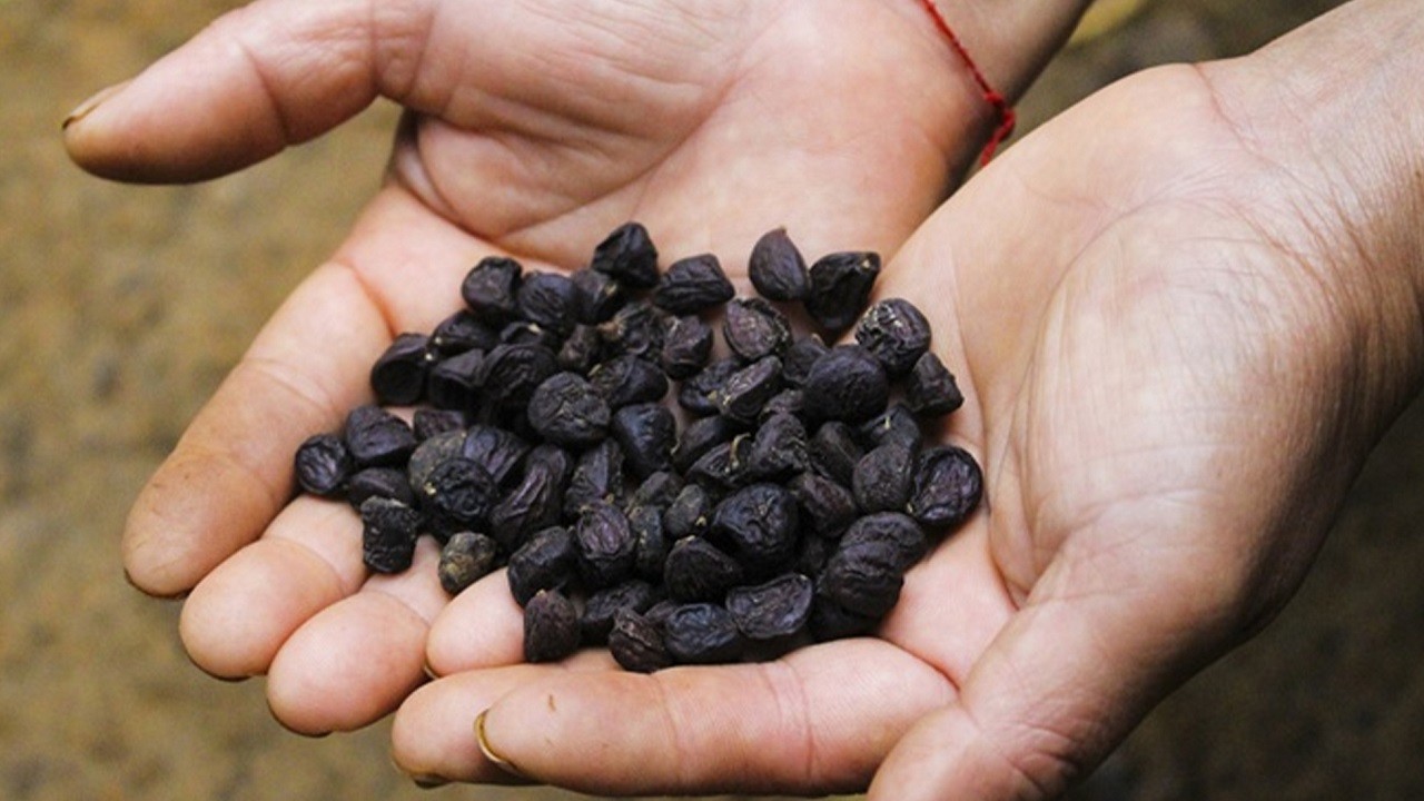 Nông sản độc lạ ở chợ phiên vùng cao: Không chỉ có măng khô, cua đá, đuông cọ... mà còn có cả "vàng đen" Tây Bắc- Ảnh 21. Nông sản độc lạ ở chợ phiên vùng cao: Không chỉ có măng khô, cua đá, đuông cọ... mà còn có cả "vàng đen" Tây Bắc- Ảnh 21.