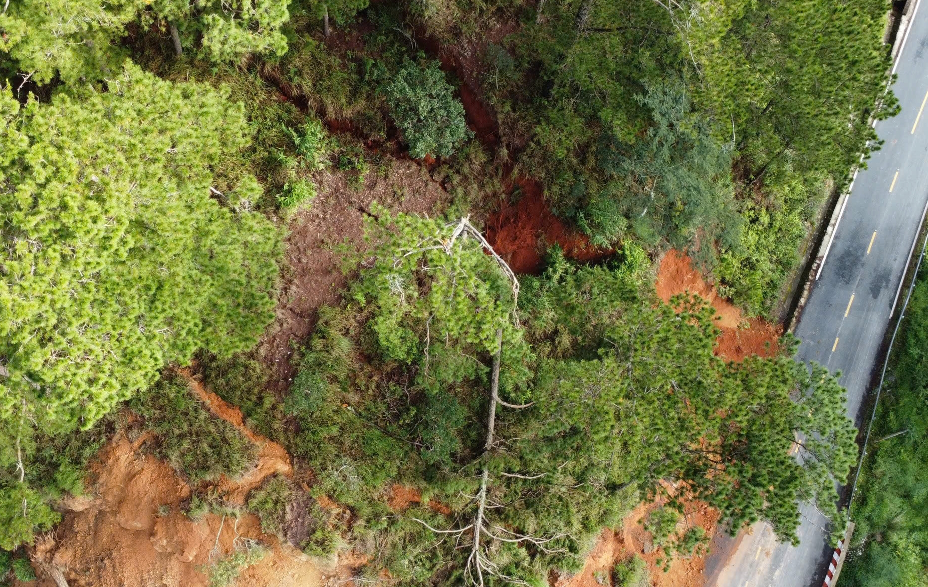 Cận cảnh các vết nứt nguy hiểm trên đèo D'ran ở Lâm Đồng- Ảnh 4. Cận cảnh các vết nứt nguy hiểm trên đèo D'ran ở Lâm Đồng- Ảnh 4.