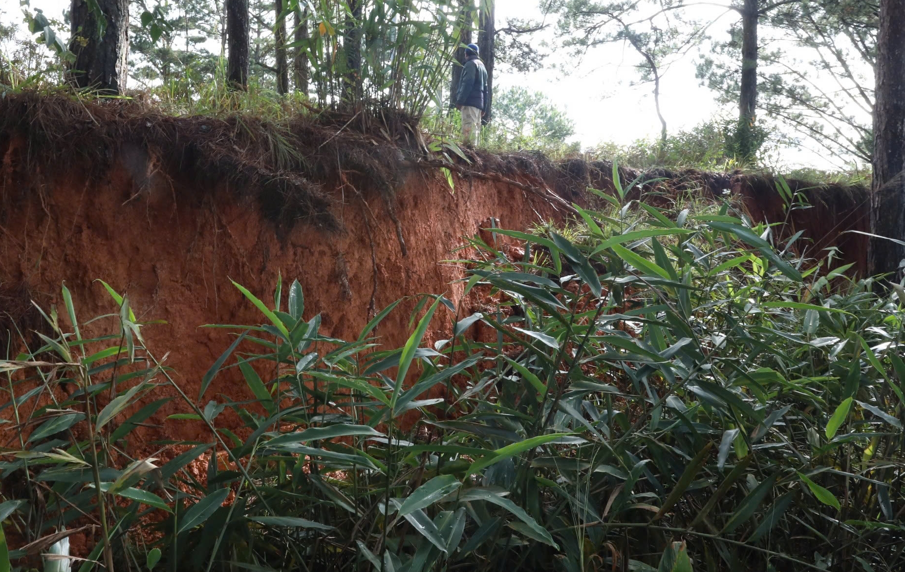 Cận cảnh các vết nứt nguy hiểm trên đèo D'ran ở Lâm Đồng- Ảnh 6. Cận cảnh các vết nứt nguy hiểm trên đèo D'ran ở Lâm Đồng- Ảnh 6.