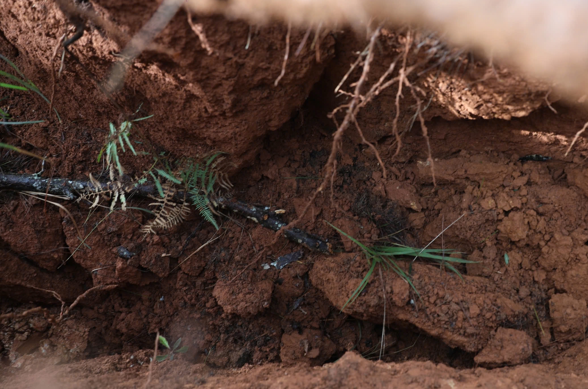 Cận cảnh các vết nứt nguy hiểm trên đèo D'ran ở Lâm Đồng- Ảnh 7. Cận cảnh các vết nứt nguy hiểm trên đèo D'ran ở Lâm Đồng- Ảnh 7.
