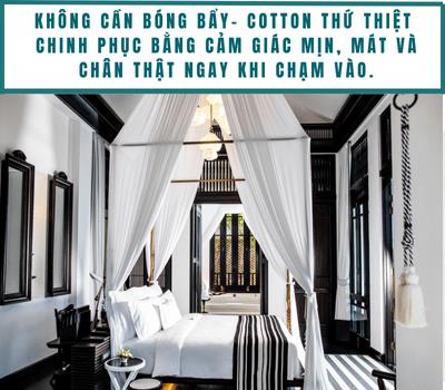 B&iacute; mật giấc ngủ 5 sao: V&igrave; sao họ chỉ chọn cotton thứ thiệt?- Ảnh 3.
