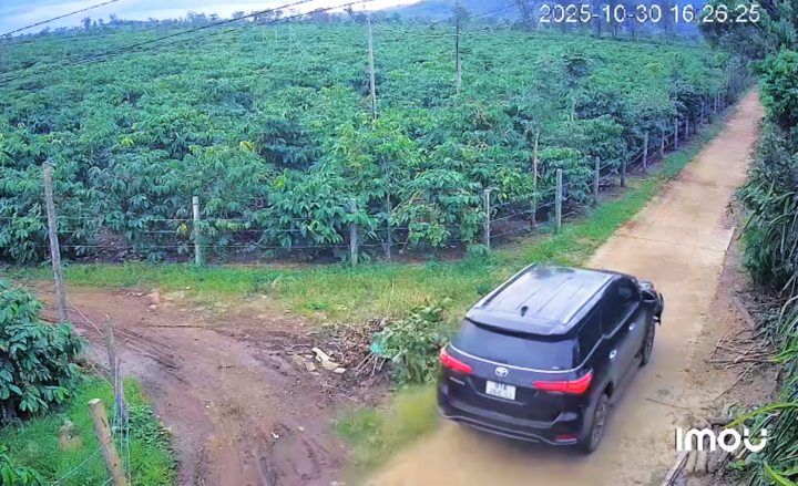 Danh tính lái xe ô tô tông chết người rồi bỏ trốn vào rẫy người dân Gia Lai- Ảnh 1.