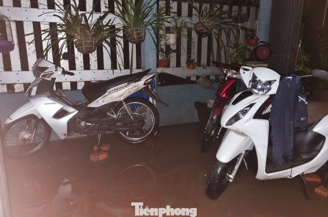 Đêm trong thôn ngập chưa từng thấy- Ảnh 8. Đêm trong thôn ngập chưa từng thấy- Ảnh 8.