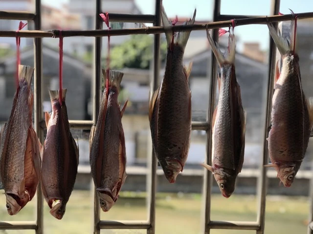 4 Loại Cá 4 Loại Cá