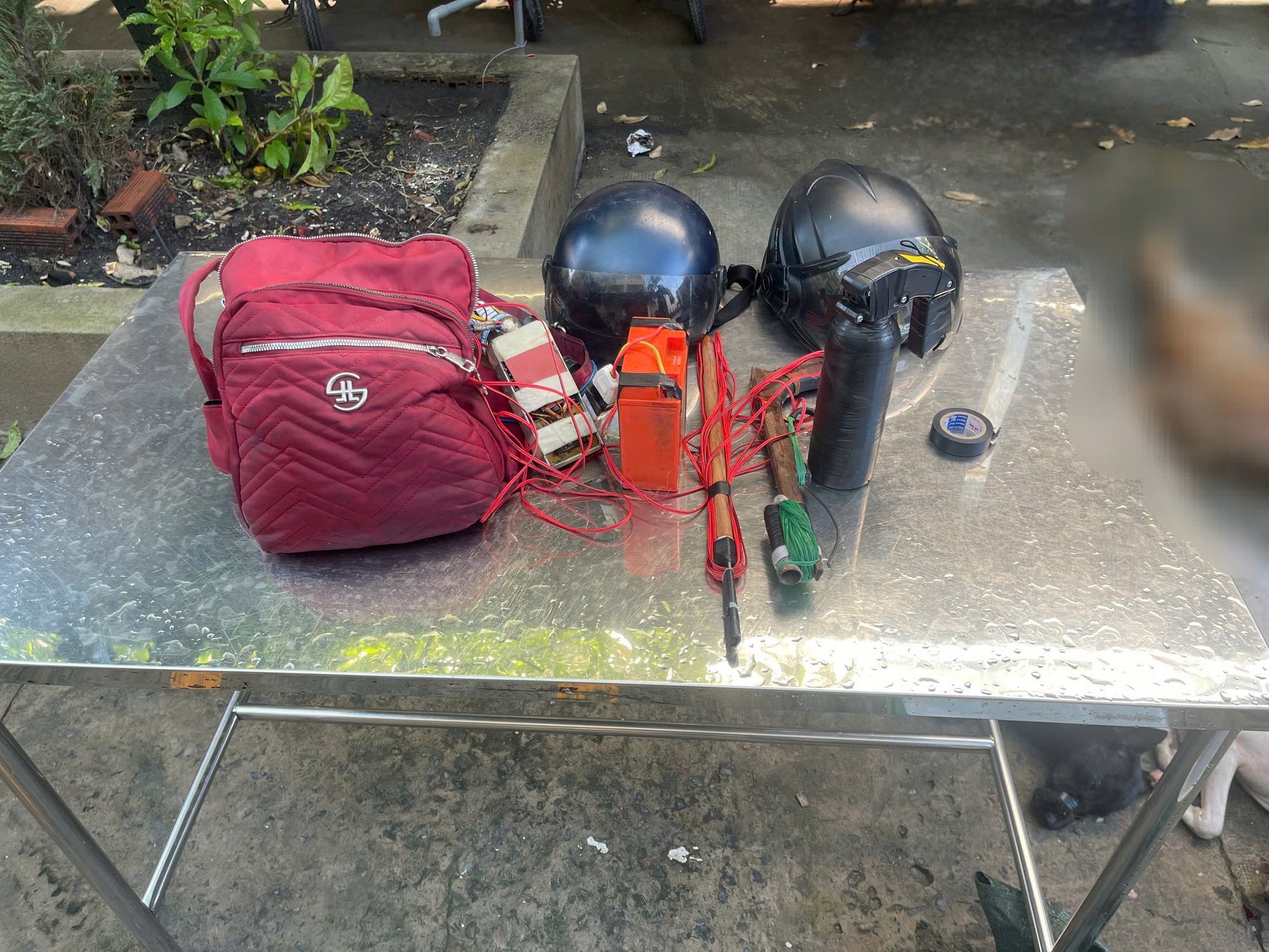 Công an TP HCM tạm giữ hình sự bà chủ lò chó- Ảnh 2. Công an TP HCM tạm giữ hình sự bà chủ lò chó- Ảnh 2.