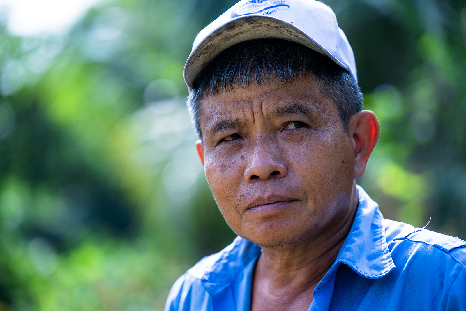 Quặn lòng nhìn hàng nghìn gốc đào Nhật Tân ngập úng, chết như ngả rạ: Mất Tết rồi!- Ảnh 8.