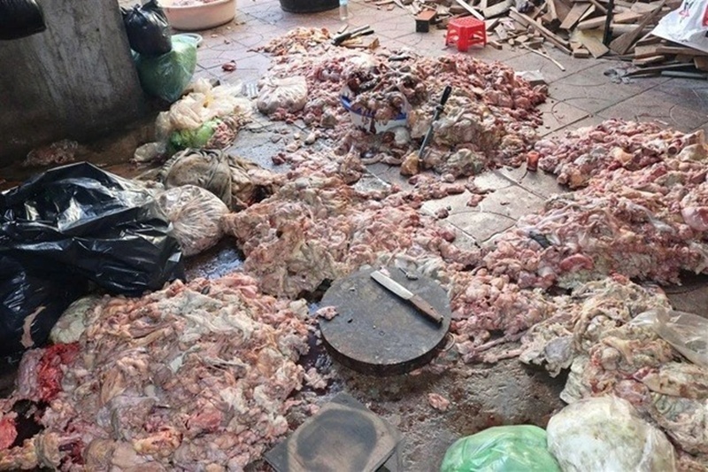 Hãi Hùng Cảnh Mỡ Động Vật Bẩn Chất Đống Dưới Nền Nhà Nhếch Nhác, Chuẩn Bị Chế Biến Tuồn Ra Thị Trường Ở Nghệ An- Ảnh 1. Hãi Hùng Cảnh Mỡ Động Vật Bẩn Chất Đống Dưới Nền Nhà Nhếch Nhác, Chuẩn Bị Chế Biến Tuồn Ra Thị Trường Ở Nghệ An- Ảnh 1.