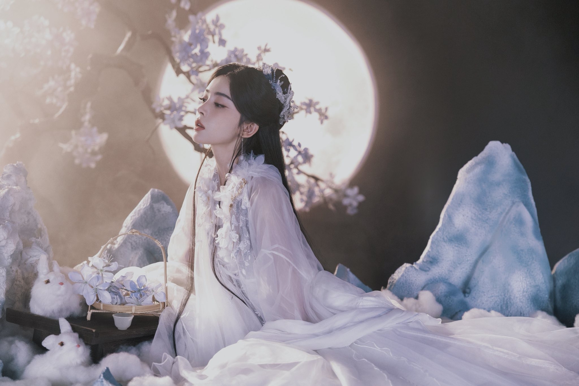 Hằng Nga trên cung trăng xuống nhân gian làm gì thế này: Nhan sắc hơn cả vô thực, ngắm xong cả đời chẳng muốn yêu ai- Ảnh 16.