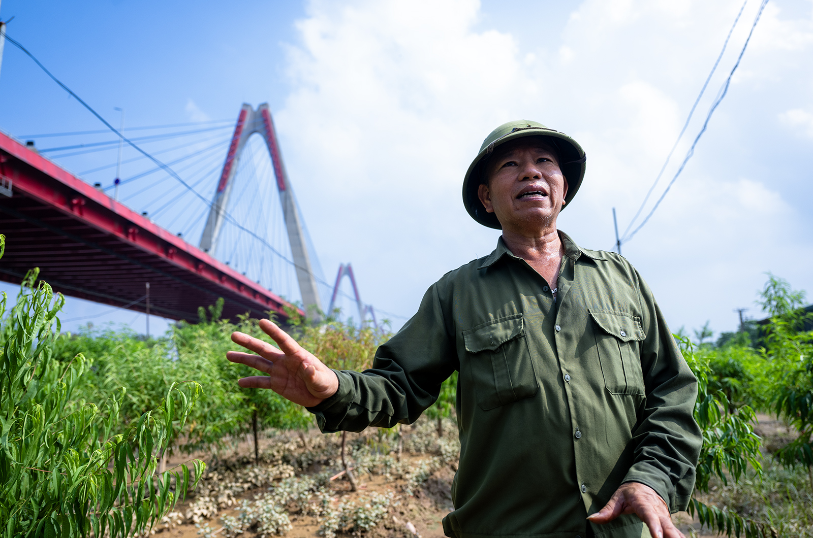 Quặn lòng nhìn hàng nghìn gốc đào Nhật Tân ngập úng, chết như ngả rạ: Mất Tết rồi!- Ảnh 10.