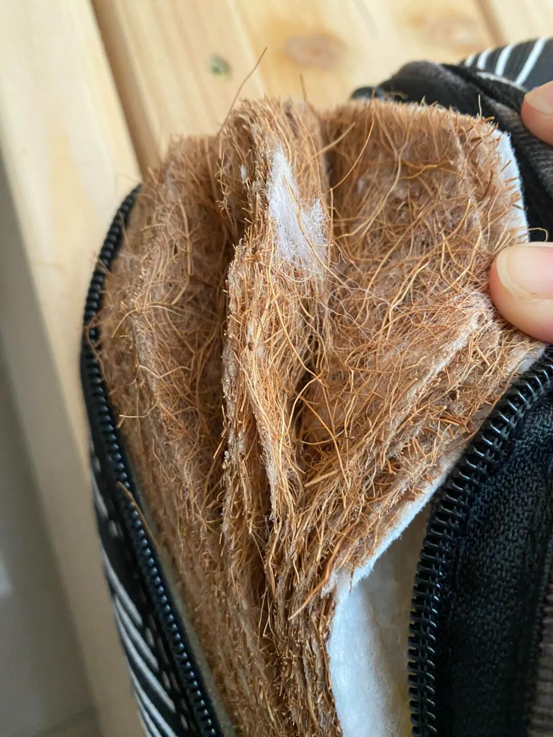 5 loại đệm người trong nghề liệt v&agrave;o 