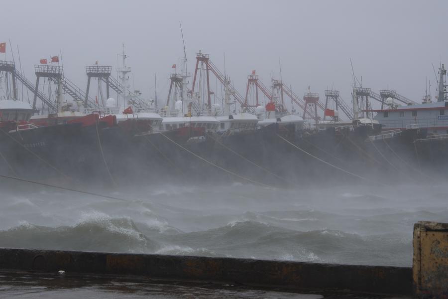 Những hình ảnh cận cảnh bão Matmo càn quét Trung Quốc- Ảnh 5. Những hình ảnh cận cảnh bão Matmo càn quét Trung Quốc- Ảnh 5.