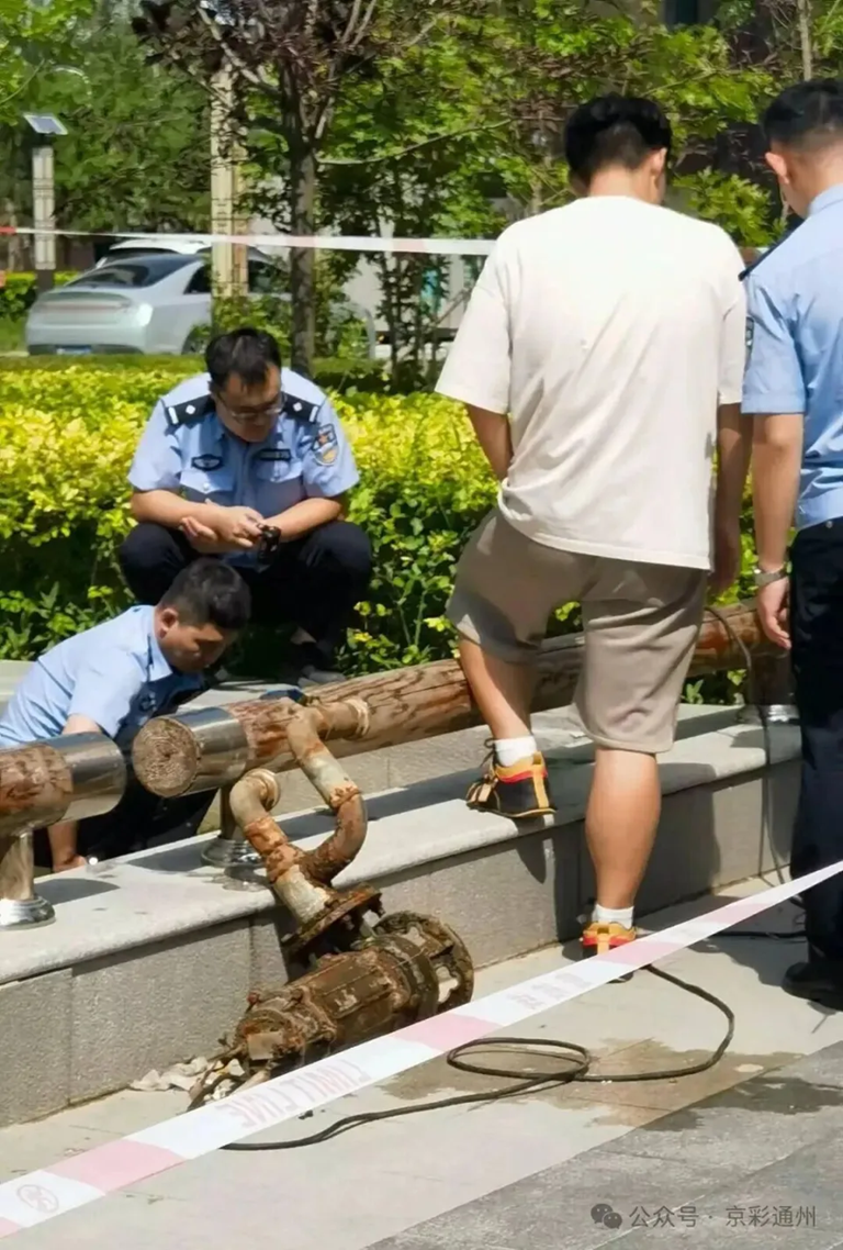 Bé trai 5 tuổi hét lên gọi mẹ rồi gặp nạn- Ảnh 1.