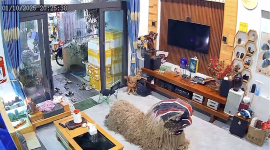 Con lân đáng sợ nhất Trung thu 2025: Bỏ chạy hoảng loạn khi nhìn thấy, tìm hiểu ra mới biết cực ý nghĩa- Ảnh 1. Con lân đáng sợ nhất Trung thu 2025: Bỏ chạy hoảng loạn khi nhìn thấy, tìm hiểu ra mới biết cực ý nghĩa- Ảnh 1.