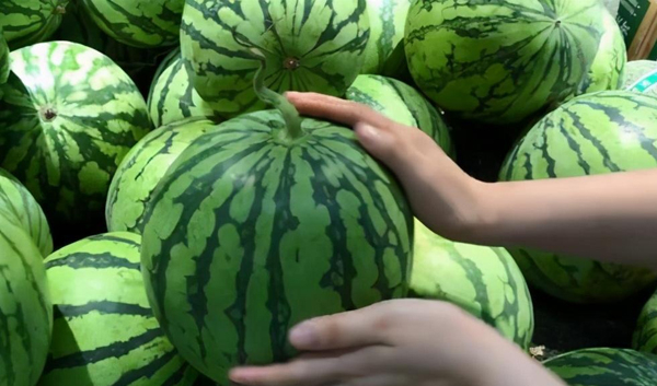 Nhờ lão nông trồng dưa hấu nhắc nhở, tôi vội "mách" lại cho người nhà, kể từ đó đều mua được loại ngon "10 quả như 1"- Ảnh 6.