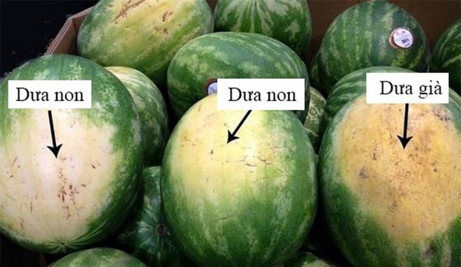 Nhờ lão nông trồng dưa hấu nhắc nhở, tôi vội "mách" lại cho người nhà, kể từ đó đều mua được loại ngon "10 quả như 1"- Ảnh 7.