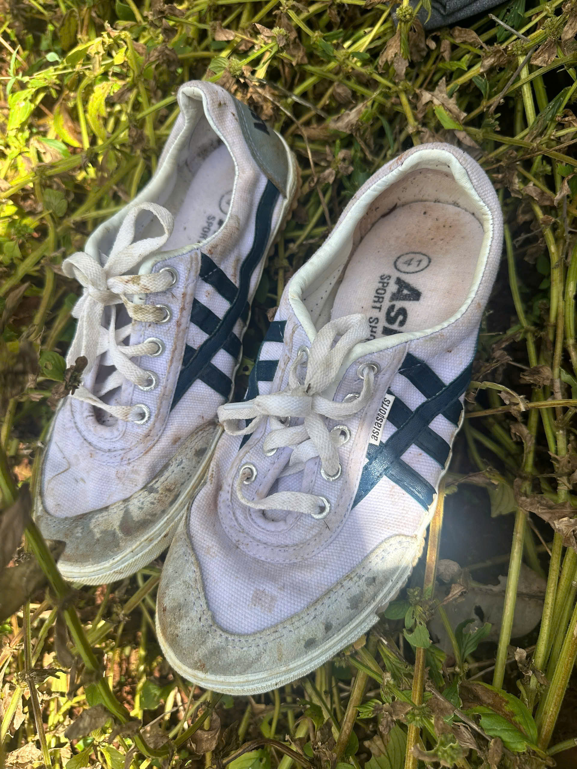 Vụ thảm án ở Đồng Nai: Đôi giày dính đất đỏ "tố" Lê Sỹ Tùng- Ảnh 2. Vụ thảm án ở Đồng Nai: Đôi giày dính đất đỏ "tố" Lê Sỹ Tùng- Ảnh 2.