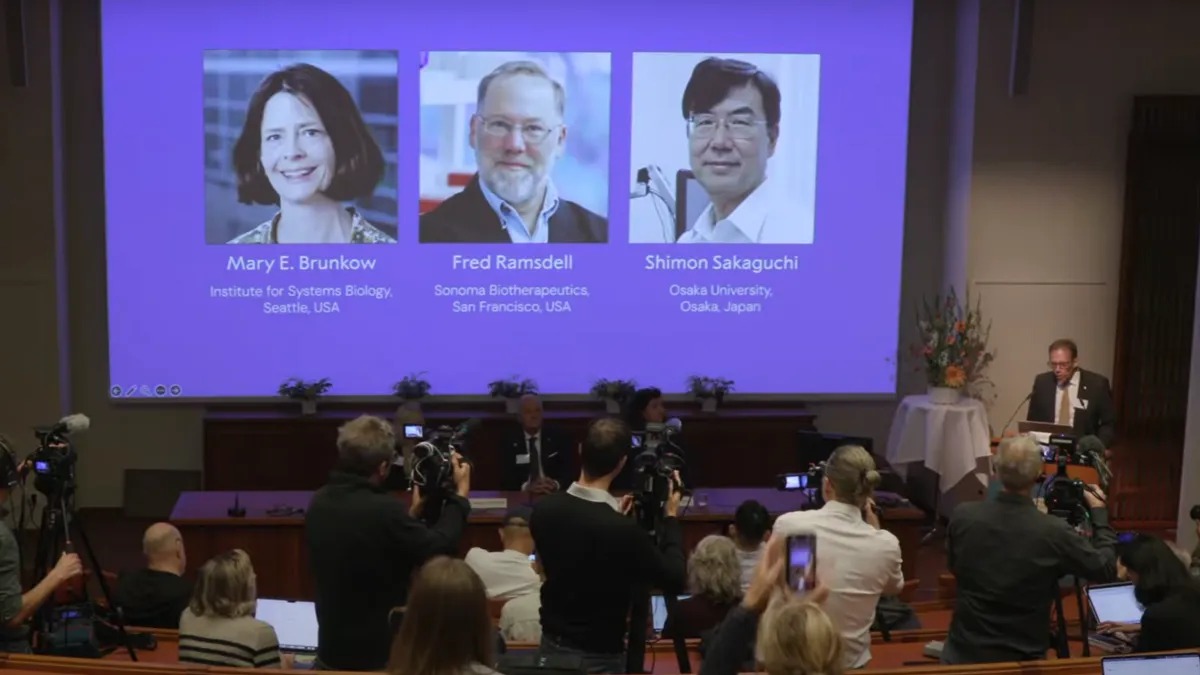 Giải Nobel Y Sinh 2025 Được Trao Cho Ba Nhà Khoa Học Nhờ Khám Phá Cơ Chế 'Phanh' Hệ Miễn Dịch Của Con Người- Ảnh 2. Giải Nobel Y Sinh 2025 Được Trao Cho Ba Nhà Khoa Học Nhờ Khám Phá Cơ Chế 'Phanh' Hệ Miễn Dịch Của Con Người- Ảnh 2.
