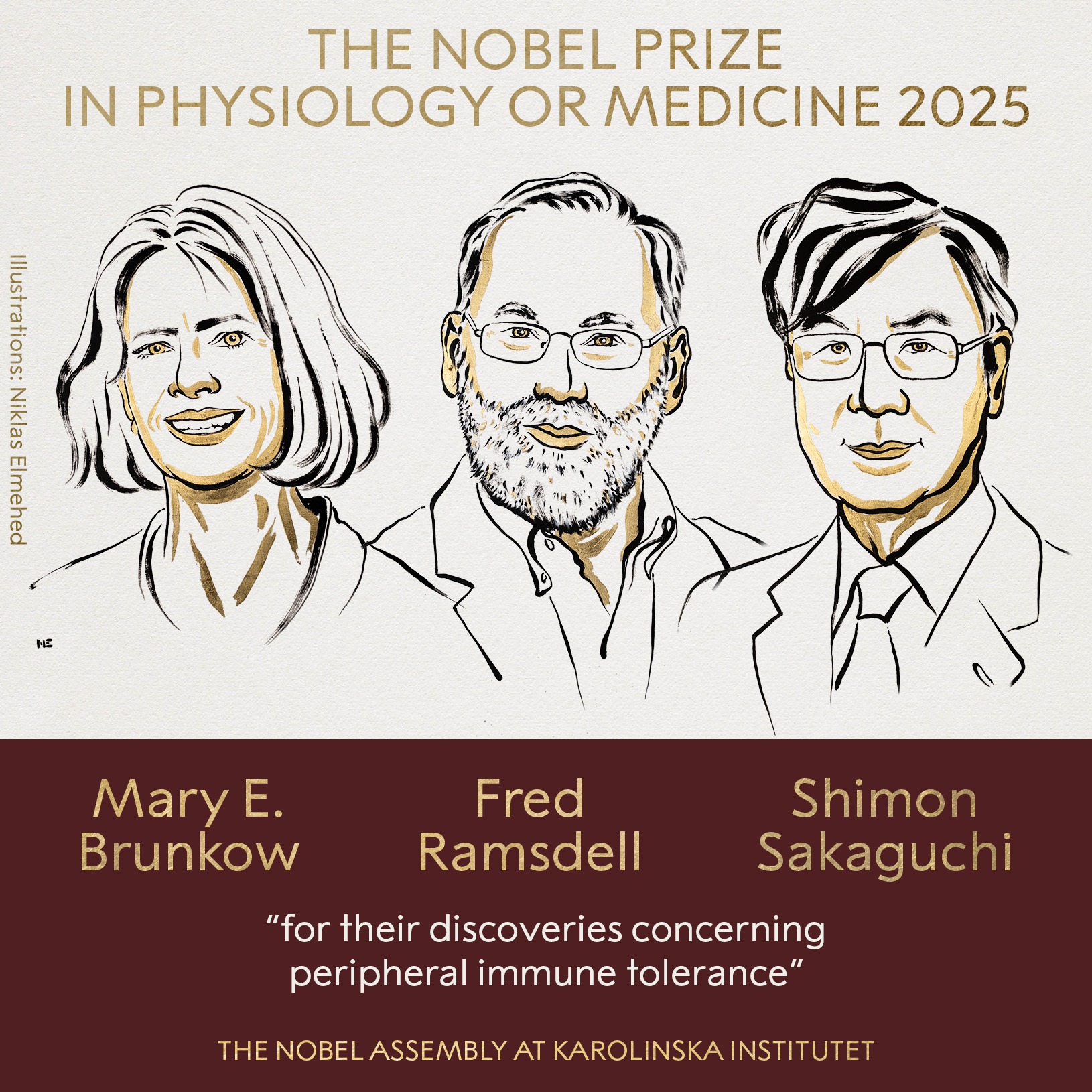Giải Nobel Y Sinh 2025 Được Trao Cho Ba Nhà Khoa Học Nhờ Khám Phá Cơ Chế 'Phanh' Hệ Miễn Dịch Của Con Người- Ảnh 1. Giải Nobel Y Sinh 2025 Được Trao Cho Ba Nhà Khoa Học Nhờ Khám Phá Cơ Chế 'Phanh' Hệ Miễn Dịch Của Con Người- Ảnh 1.