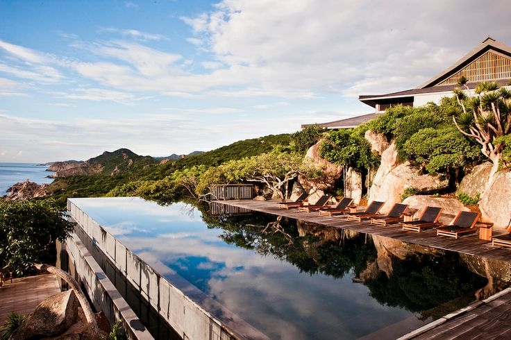 Việt Nam có rừng thuộc dạng quý hiếm ở Đông Nam Á, cả nước chỉ có 1, ngay gần Nha Trang, Phan Thiết- Ảnh 10. Việt Nam có rừng thuộc dạng quý hiếm ở Đông Nam Á, cả nước chỉ có 1, ngay gần Nha Trang, Phan Thiết- Ảnh 10.