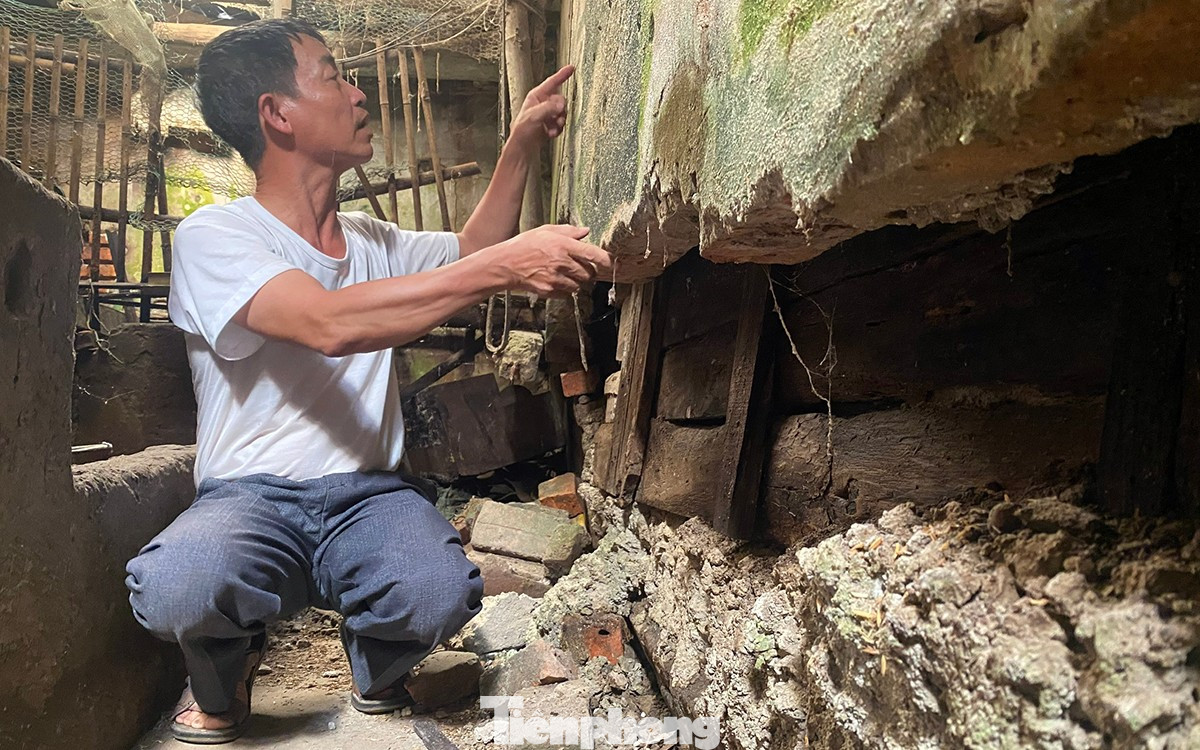 Thêm vụ lấn chiếm, xây nhà trên đất người khác ở Hải Phòng- Ảnh 4.