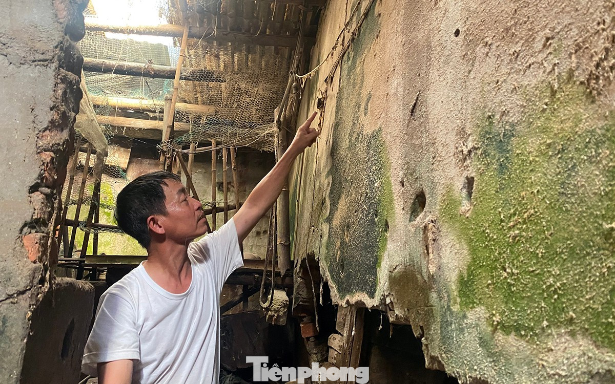 Thêm vụ lấn chiếm, xây nhà trên đất người khác ở Hải Phòng- Ảnh 2.