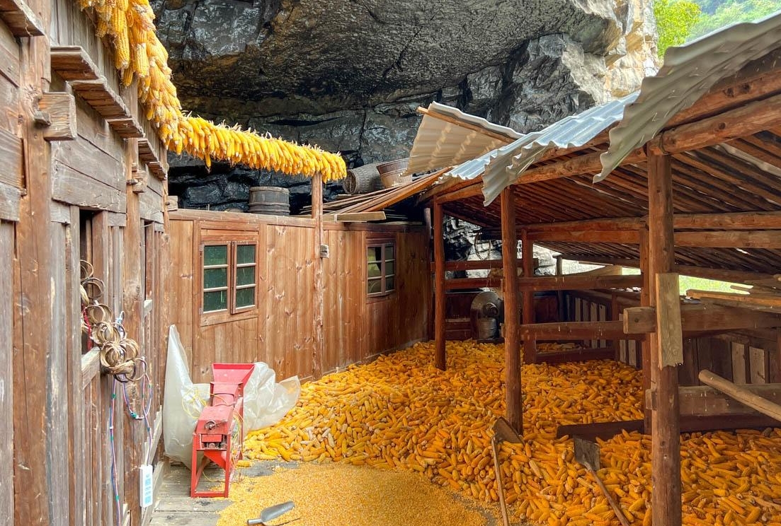 Có gì bên trong biệt thự gỗ 5 tầng 