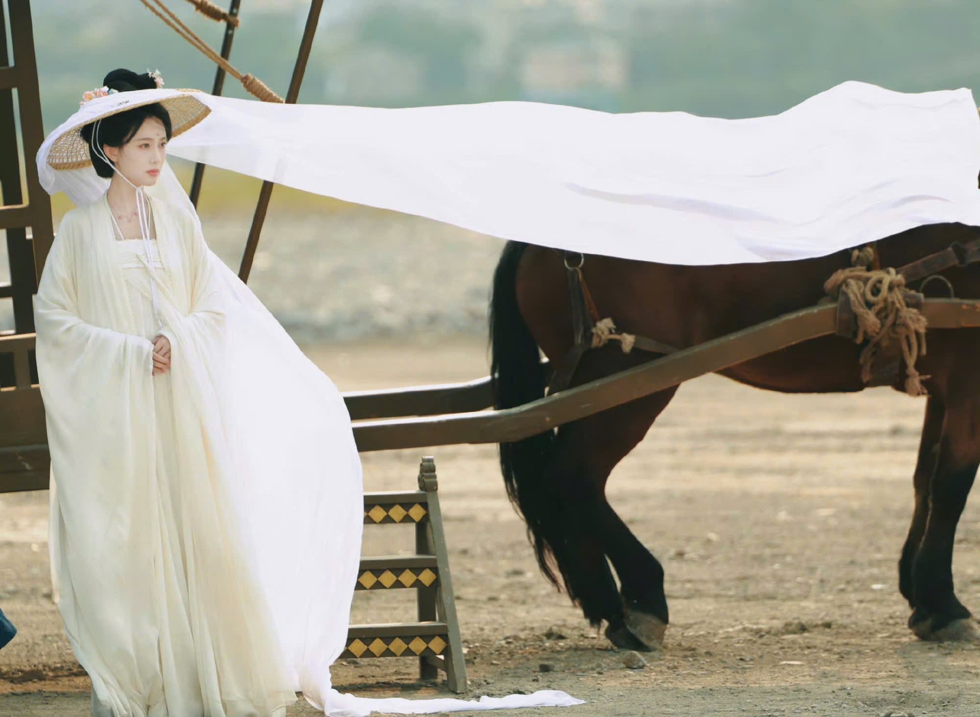 Nơi nào có mỹ nhân này nơi đó là thắng cảnh nhân gian: Nhan sắc như bước ra từ tranh cổ, đến cả gió cũng nâng niu- Ảnh 5.