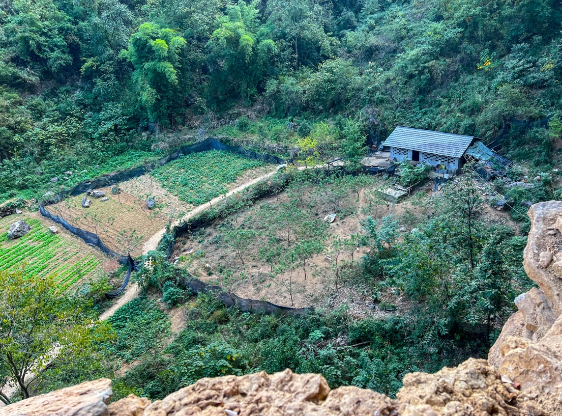 Có gì bên trong biệt thự gỗ 5 tầng 