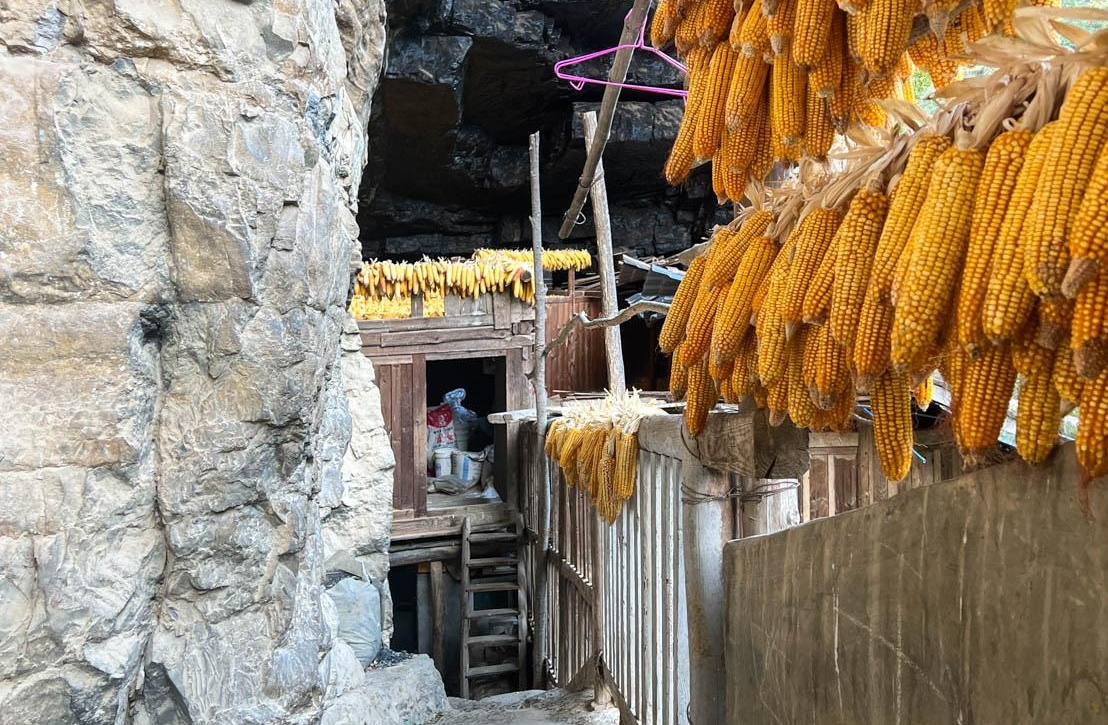 Có gì bên trong biệt thự gỗ 5 tầng 