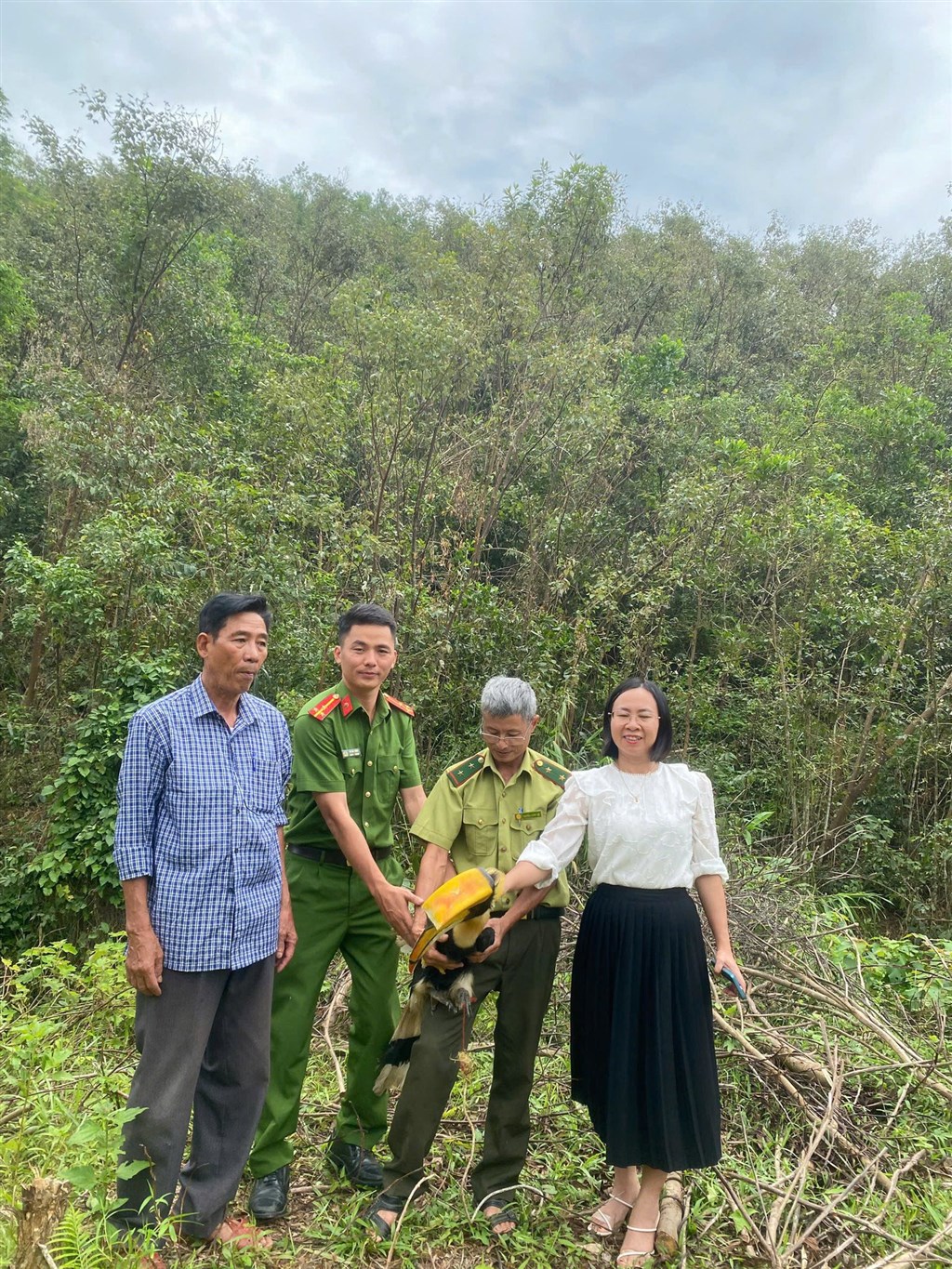 Chim lạ bay vào sân, người dân Nghệ An lập tức báo chính quyền - hóa ra là “báu vật” của rừng xanh- Ảnh 2. Chim lạ bay vào sân, người dân Nghệ An lập tức báo chính quyền - hóa ra là “báu vật” của rừng xanh- Ảnh 2.