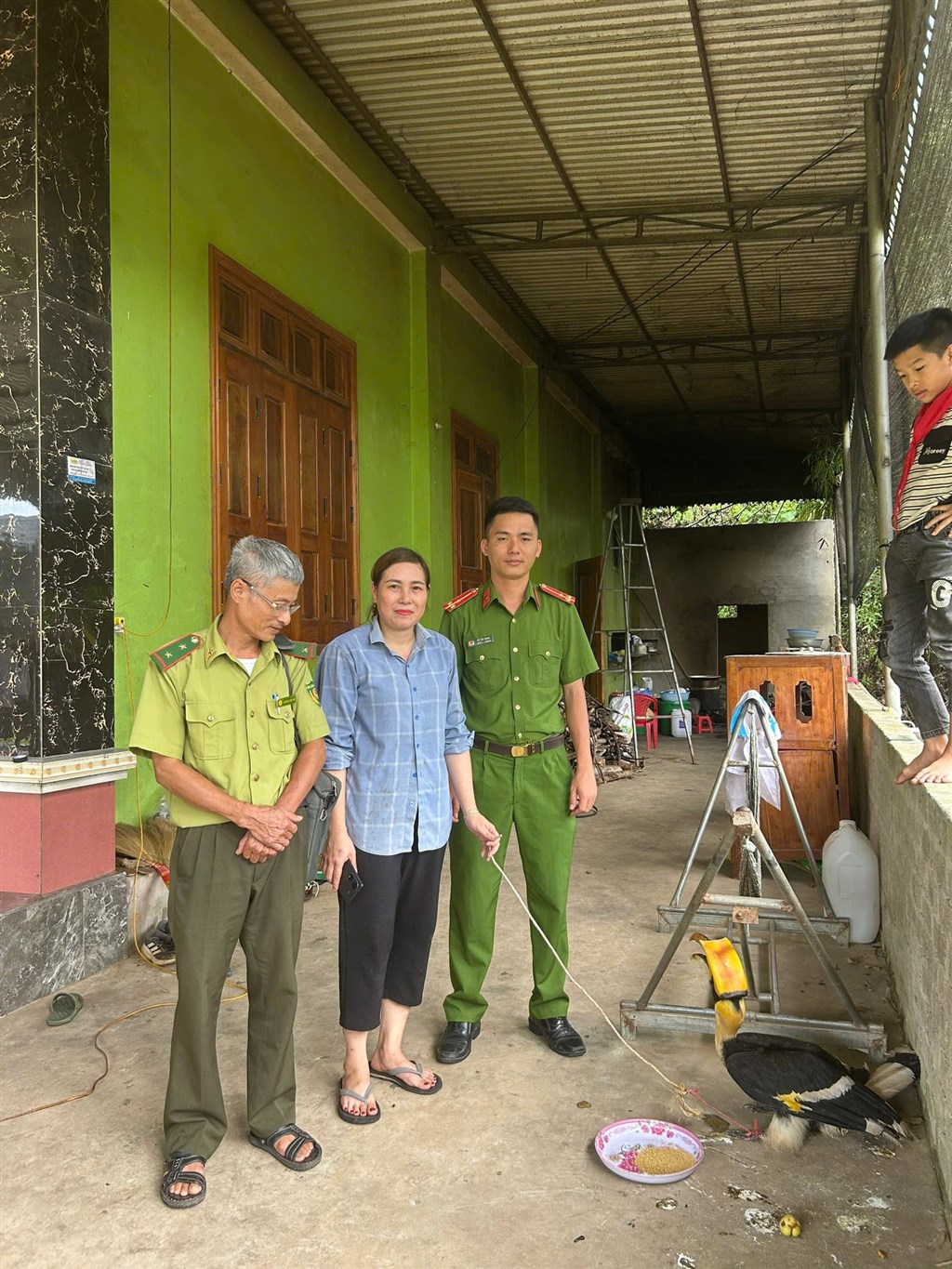 Chim lạ bay vào sân, người dân Nghệ An lập tức báo chính quyền - hóa ra là “báu vật” của rừng xanh- Ảnh 1. Chim lạ bay vào sân, người dân Nghệ An lập tức báo chính quyền - hóa ra là “báu vật” của rừng xanh- Ảnh 1.