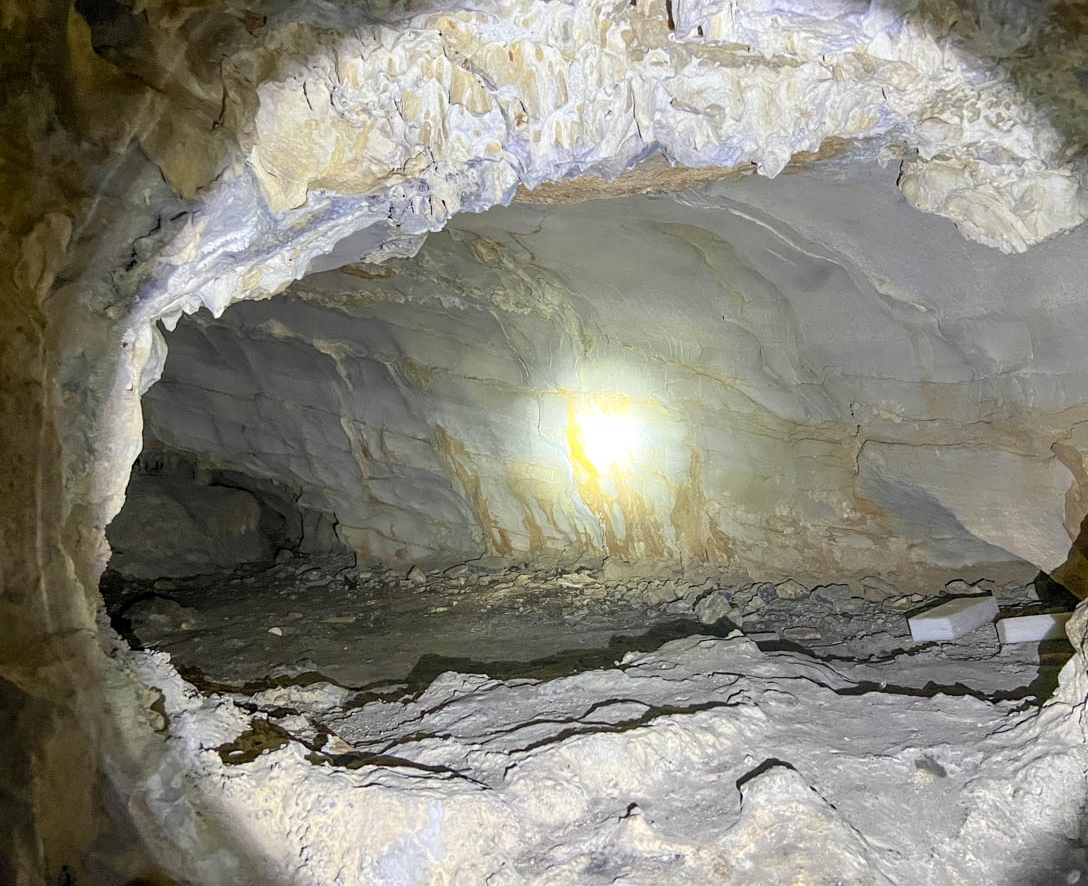 Có gì bên trong biệt thự gỗ 5 tầng 